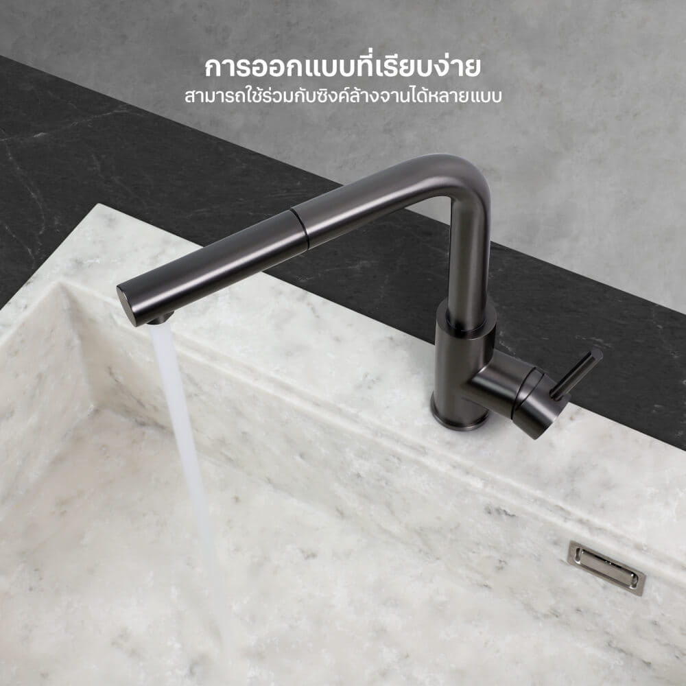 ก๊อกซิงค์สำหรับอ่างล้างจาน EVE LEXI GUNMETAL EP สเตนเลส 30 ซม. สีดำเงา